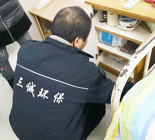 切不可用殺蟲劑噴殺、火燒水中等方法隨意滅殺白蟻