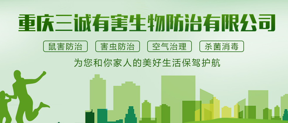 預(yù)防老鼠小知識