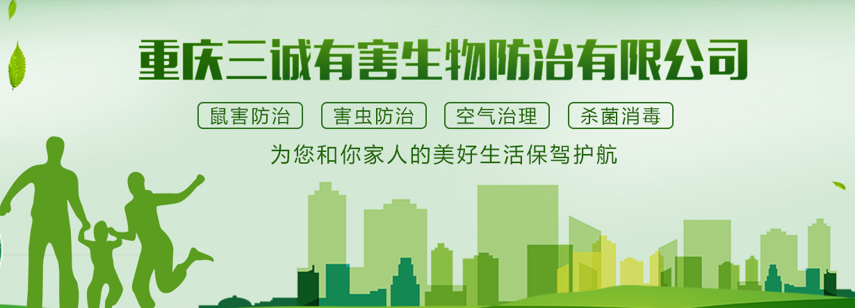 白蟻季來臨，白蟻防治中心科普白蟻紛飛知識
