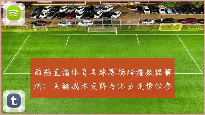 雨燕直播体育足球赛场转播数据解析：关键战术变阵与比分走势供参考