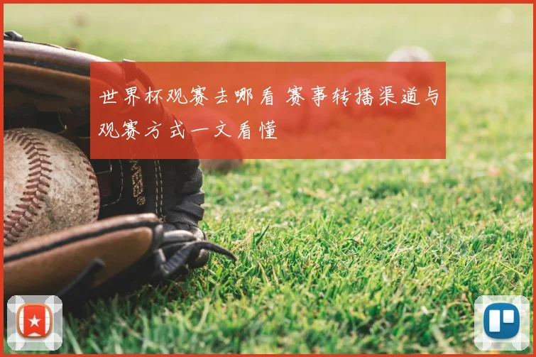 世界杯观赛去哪看 赛事转播渠道与观赛方式一文看懂