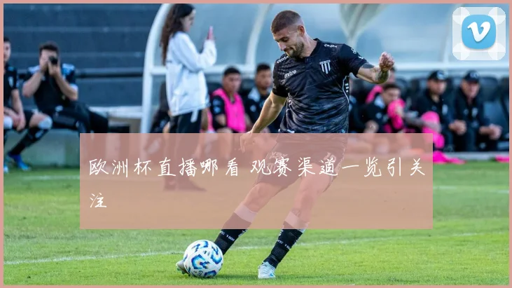 欧洲杯直播哪看 观赛渠道一览引关注