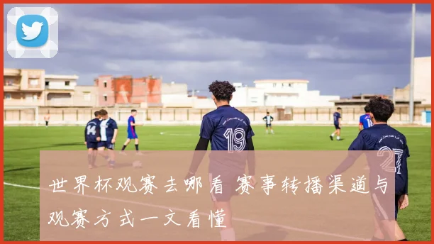 世界杯观赛去哪看 赛事转播渠道与观赛方式一文看懂