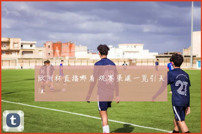 欧洲杯直播哪看 观赛渠道一览引关注