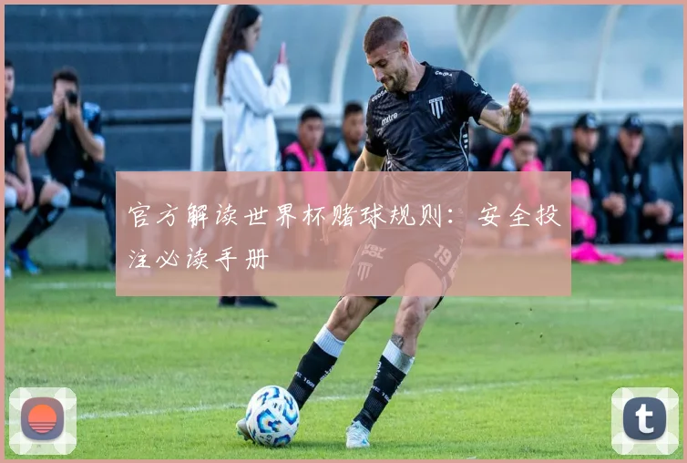 官方解读世界杯赌球规则:安全投注必读手册