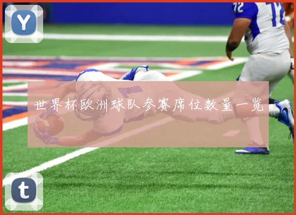 世界杯欧洲球队参赛席位数量一览